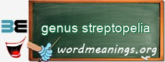 WordMeaning blackboard for genus streptopelia